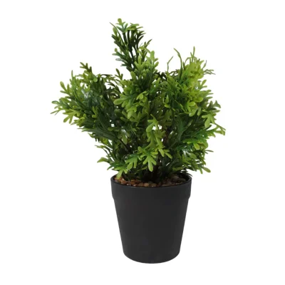 Бонсай OAKY, 21*6см фотография