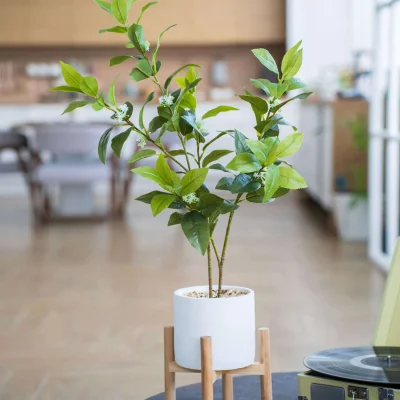 Дерево в цементном горшке с подставкой из МДФ, Д140 Ш140 В790_4