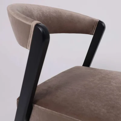 Стул Талер, латте Bogemia latte/венге_9