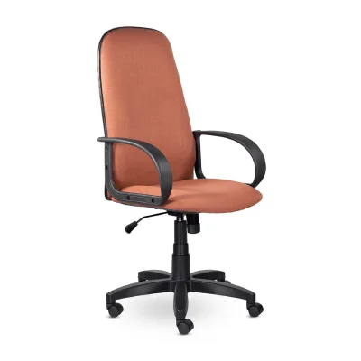 Кресло Эльф В пластик 727, С 24 (бежево-коричневый) фотография