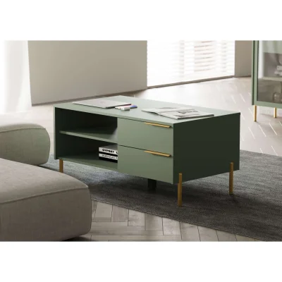 Н.м. "SIENA" стол журнальный LAW2S, к.Дымчатый зеленый/ф.Дымчатый зеленый+Дуб вотан_6