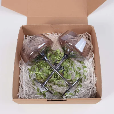 Подарочный бокс №7 (Бокал-креманка (2 шт.) + Светодиодная гирлянда + Подарочная упаковка)_7