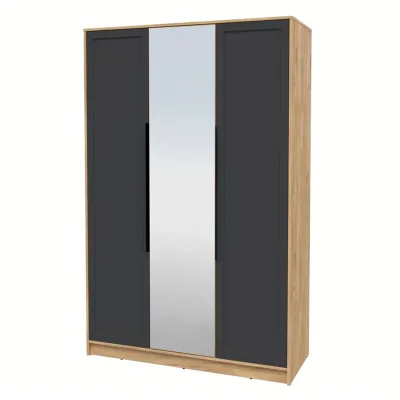 Шкаф КОНЦЕПТ Тренд КТ-Ш3(з), к.Дуб золотой/ф.Пепел  (В2128хШ1360хГ547мм) фотография