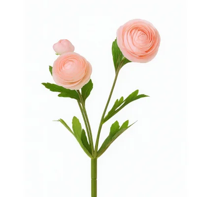 Искусственный цветок Ранункулюс, В420, светло-розовый фотография
