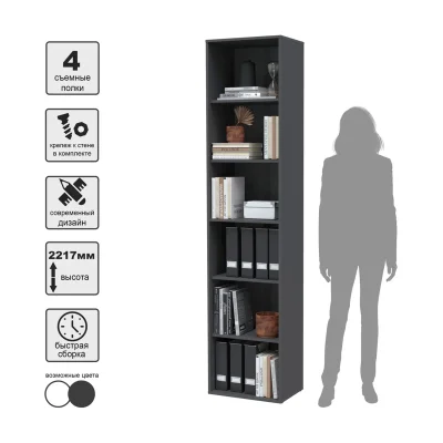 Шкаф SKILL-21, антрацит_4