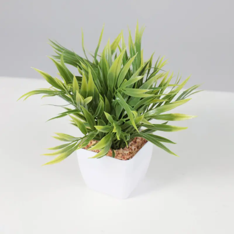 Бонсай ARECA PALM, 7,5*22см_preview_4