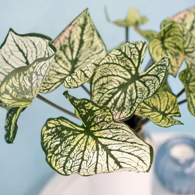 Антуриум искусственный, В 38 см_3