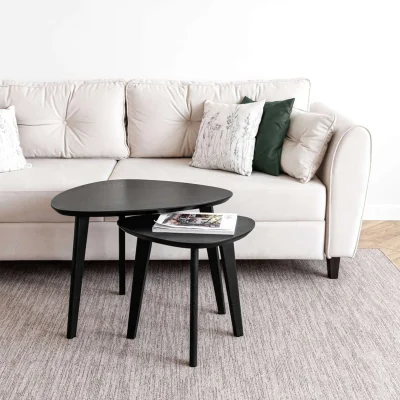 Стол журнальный DROOP-45, дуб черный/черный_2