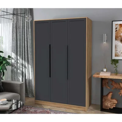 Шкаф КОНЦЕПТ Тренд КТ-Ш3, к.Дуб золотой/ф.Пепел  (В2128хШ1360хГ547мм)_2