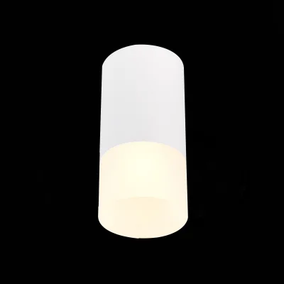 Светильник потолочный Белый GU10 1*50W IP20 D64xH131 220V Без ламп Накладные светильники фотография