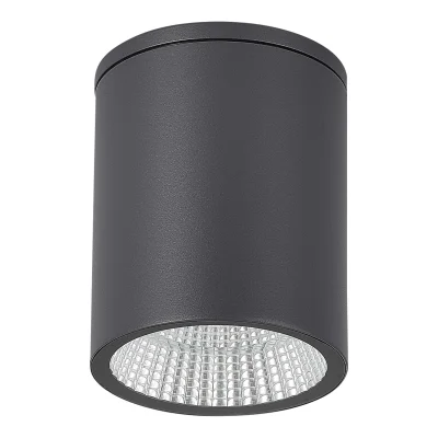 Светильник уличный потолочный ST-Luce серый/белый LED 1*12W 3000K/4000K/6500K TUBO_2