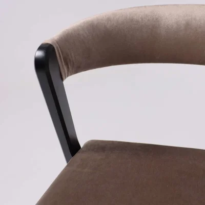 Стул Талер, латте Bogemia latte/венге_8