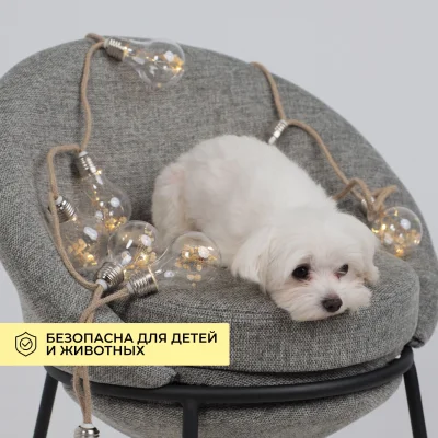 Светодиодная гирлянда AKS тип 2 ( Лампочки 10LED, 1.65м, 2АА )_3