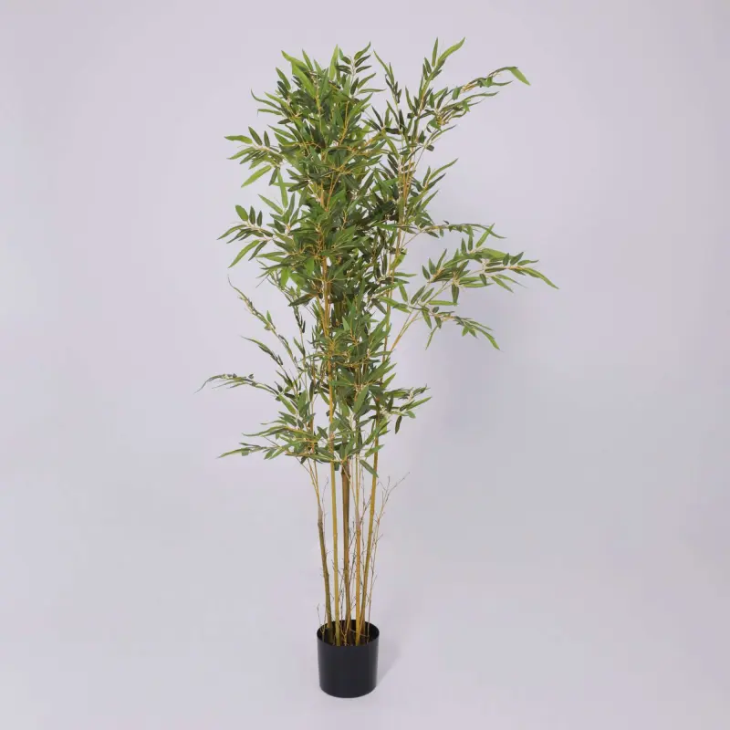 Бонсай BAMBOO LEAF TREA, 150см_preview_2