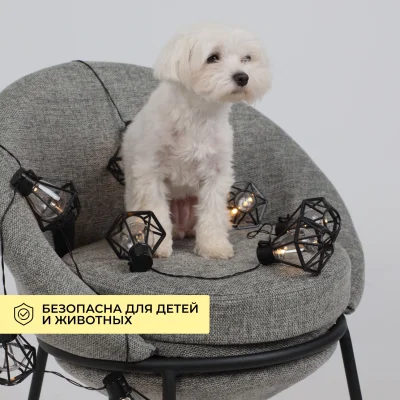 Светодиодная гирлянда AKS тип 1 ( Фонарики 10LED, 1.65м,  2АА )_3