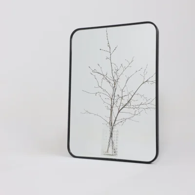 Зеркало подвесное GLAM,500*700, черный_10