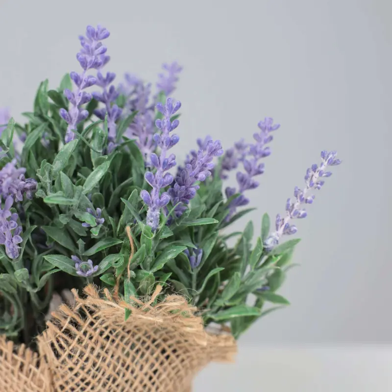 Бонсай LAVANDER, 21*18см_preview_3