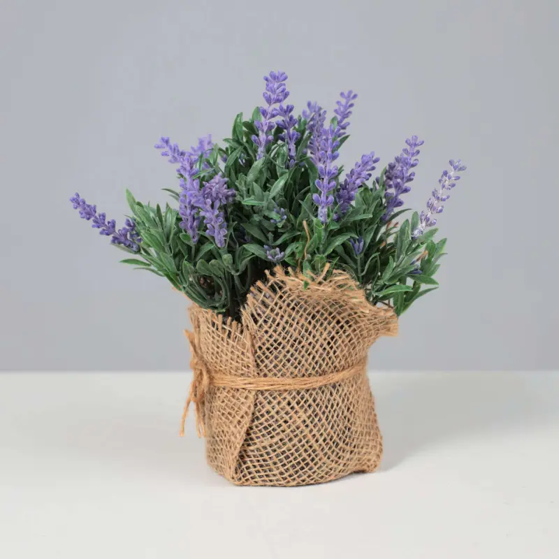 Бонсай LAVANDER, 21*18см_preview_2