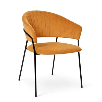 Стул AV 433, карри бархат Confetti chai tea/черный фотография