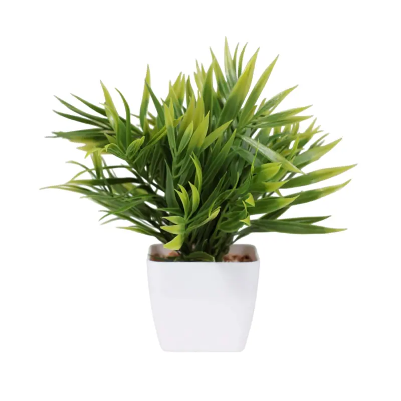 Бонсай ARECA PALM, 7,5*22см фотография