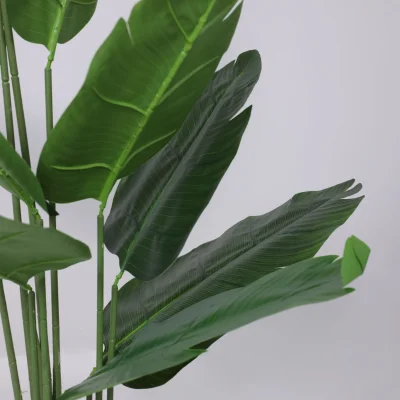 Бонсай BANANA, 120см_4