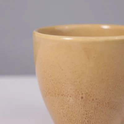 Стакан OPALUS, фарфор, пшеничный, 150мл_5