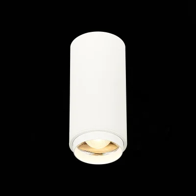 Светильник потолочный Zoom Белый LED 1*10W 3000K 1 000Lm Ra>80 15-60° IP20 D59xH130 170 Накладные светильники фотография