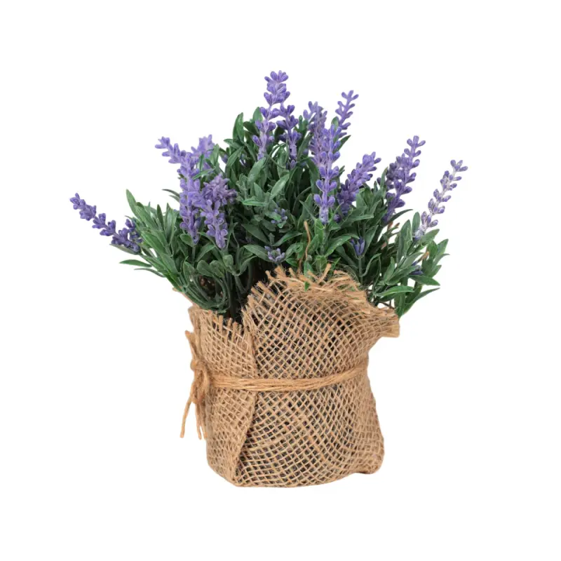 Бонсай LAVANDER, 21*18см фотография