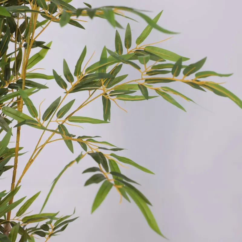 Бонсай BAMBOO LEAF TREA, 150см_preview_3