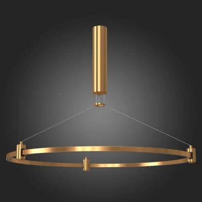 Шинопровод-кольцо FARM с подвесами и основанием под блок питания ST-Luce Золотистый FARM фотография