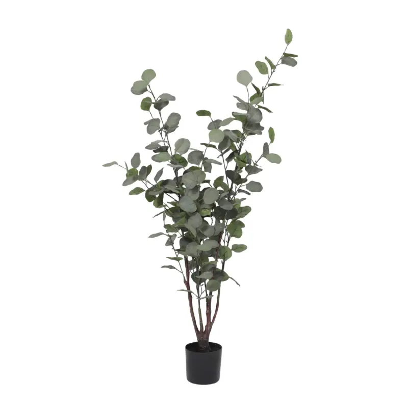 Бонсай EUCALYPTUS, 120см фотография