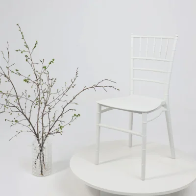 Стул ANNA, белый_2