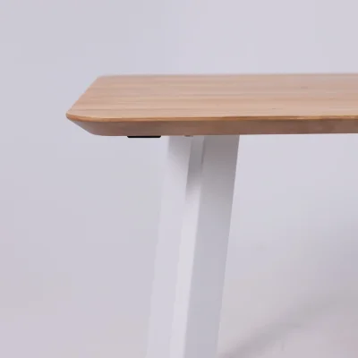 Стол МАЙОН, 120*80*74, дуб натуральный/белый (ПР-2 DSW (Т27) (02) КС-60)_14