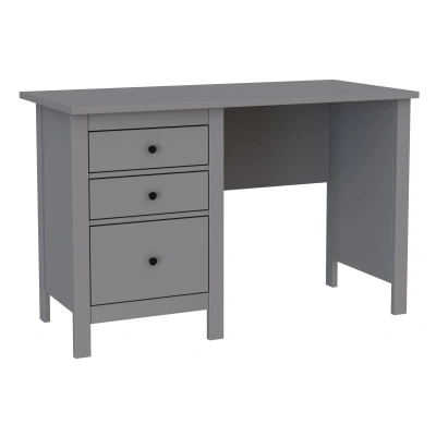 Стол письменный САГА, 120х56см, серая (2.08.06.160.4 RU) фотография