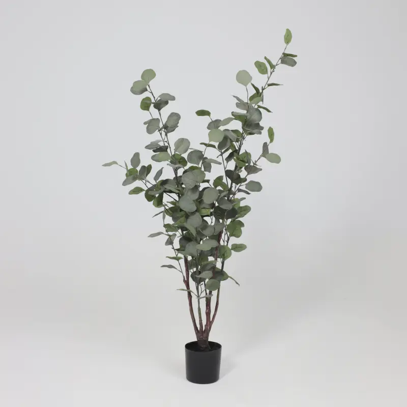 Бонсай EUCALYPTUS, 120см_preview_2