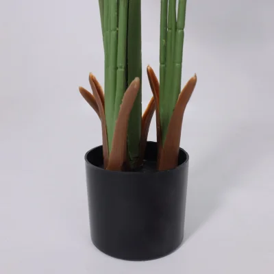 Бонсай BANANA, 120см_5