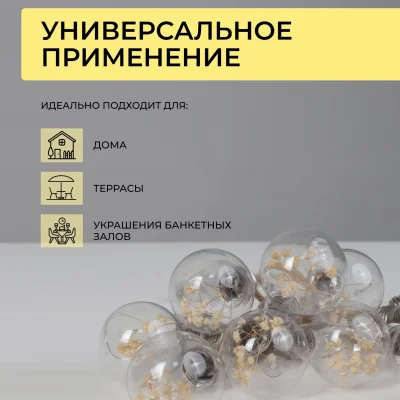 Светодиодная гирлянда AKS тип 2 ( Лампочки 10LED, 1.65м, 2АА )_2