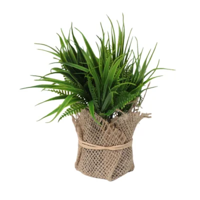 Бонсай MEL, 16*5см фотография