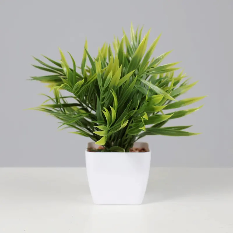 Бонсай ARECA PALM, 7,5*22см_preview_2