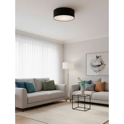 Светильник PUCK, потолочный, E27, черный_2