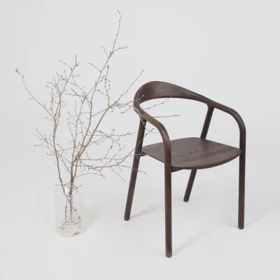 Стул БИО, дуб натуральный/покрытие рич_17