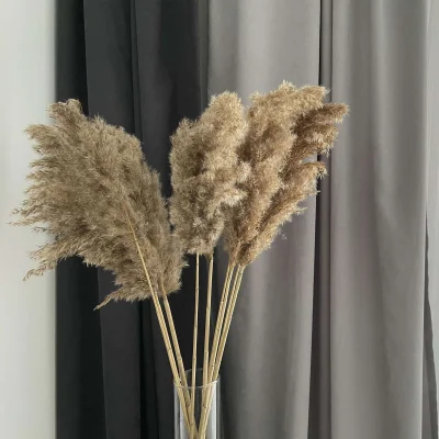 Штора КАНВАС 2*2,65м, темно-серый V-8368_6