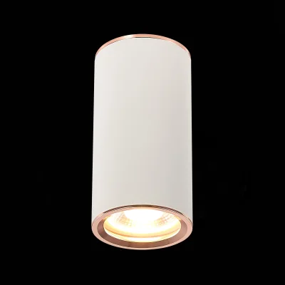 Светильник потолочный Белый GU10 1*50W D54xH105 220V Без ламп Накладные светильники фотография