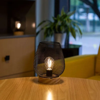 Светильник настольный AKS тип 3 ( Сетка 14х18см 1LED, 2ААА ) фотография