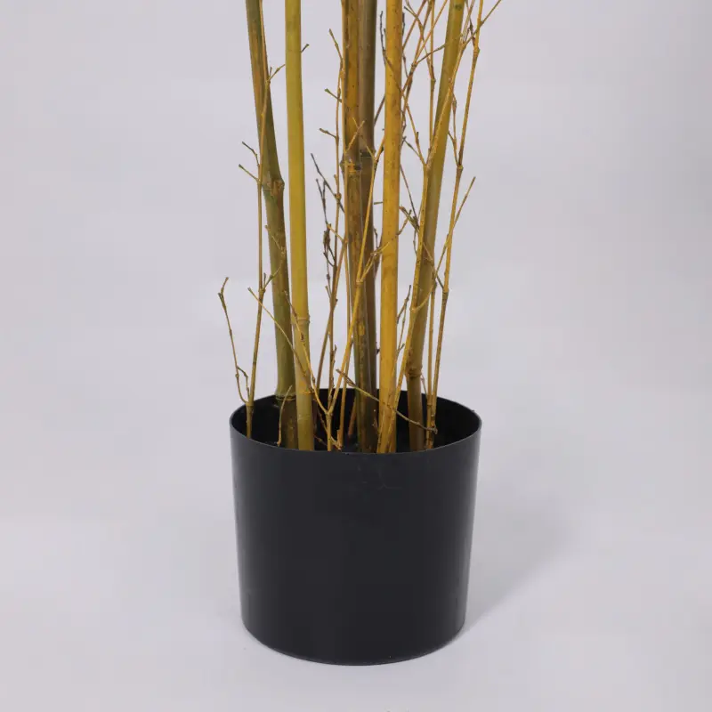 Бонсай BAMBOO LEAF TREA, 150см_preview_5