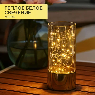 Светодиодный декор AKS тип 1 ( К-т Ваз 7х15см+8х20см, 10LED+20LED, 2АА+3АА )_5