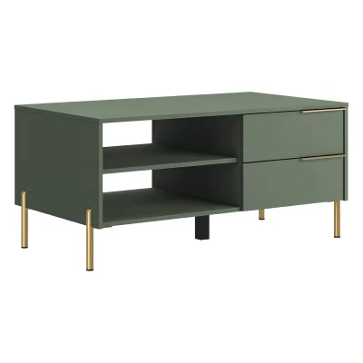 Гостиная "SIENA", дымчатый зеленый + дуб вотан. Комплект №1_11