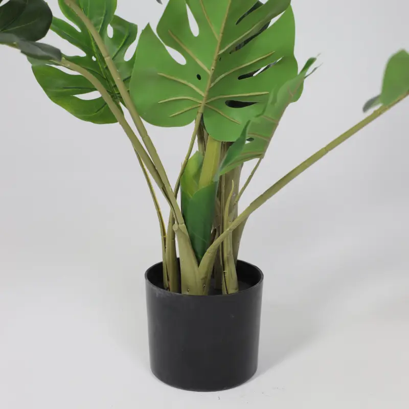 Бонсай MONSTERA, 147см_preview_4